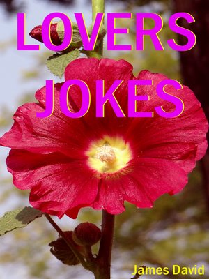 cover image of Lovers Jokes